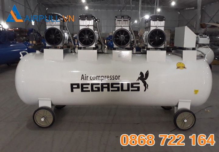Máy nén khí Pegasus TM-OF1100X4-300L
